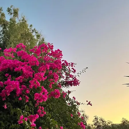 アパートホテル Maina